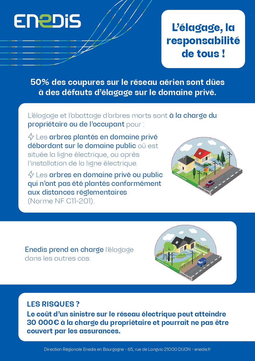 enedis arbre vegetation